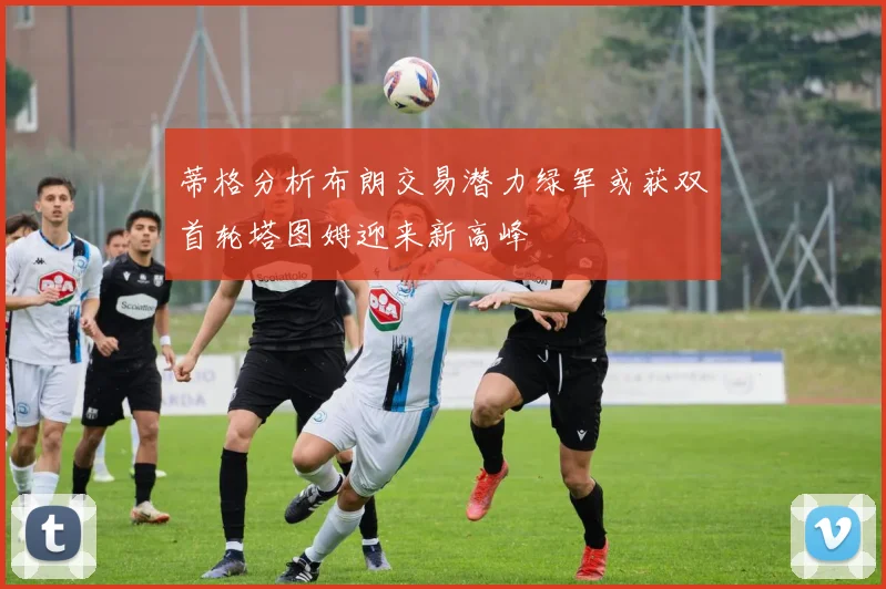 蒂格分析布朗交易潜力绿军或获双首轮塔图姆迎来新高峰