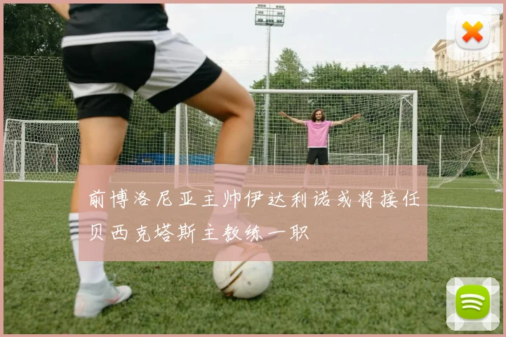 前博洛尼亚主帅伊达利诺或将接任贝西克塔斯主教练一职