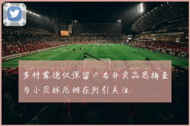 多特蒙德仅保留六名非卖品恩梅查与小贝林厄姆在列引关注
