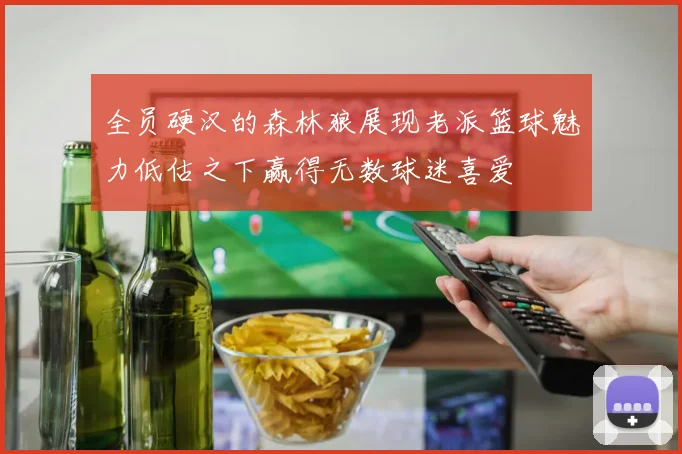 全员硬汉的森林狼展现老派篮球魅力低估之下赢得无数球迷喜爱